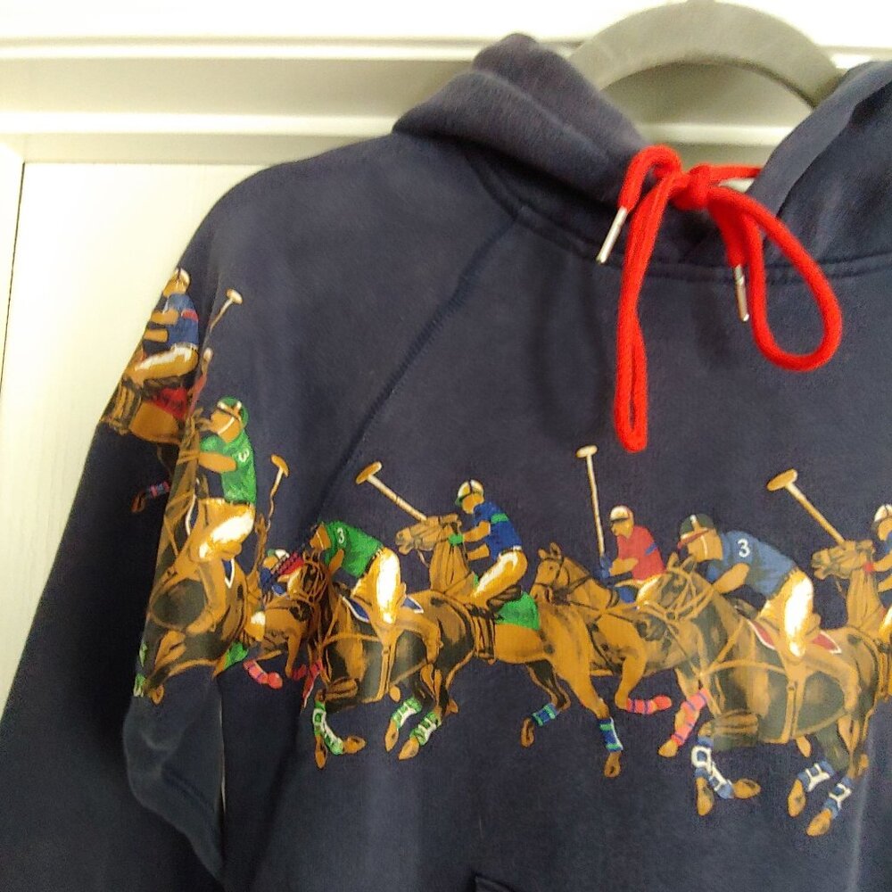 Polo Ralph Lauren Equestrian Heritage Preppy  English Countryside Hoodie Youth S - Picture 4 of 14